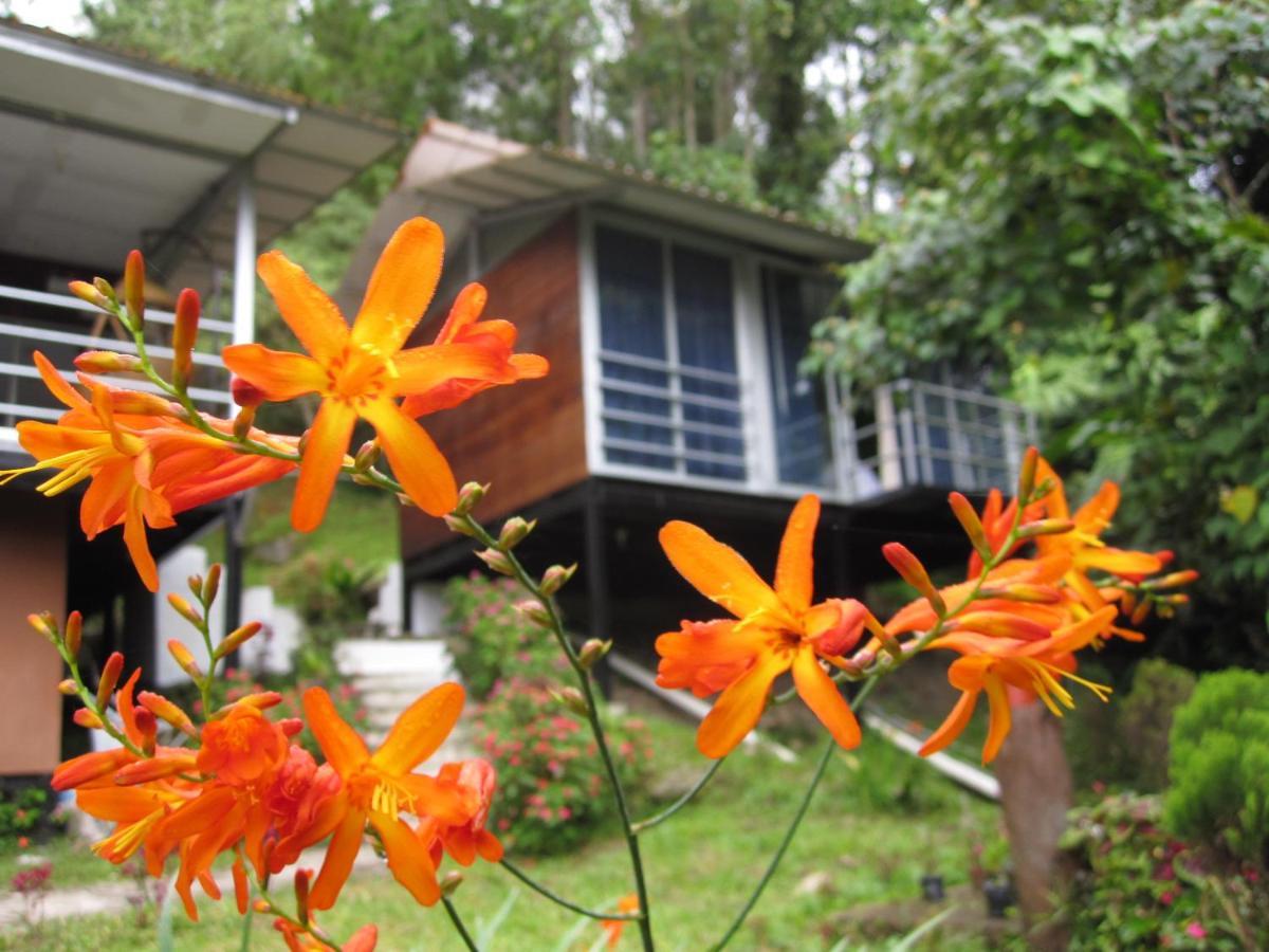 J Residence Kampong Kundassan Exterior foto